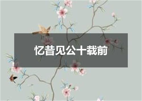 忆昔见公十载前