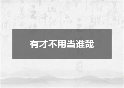 有才不用当谁哉