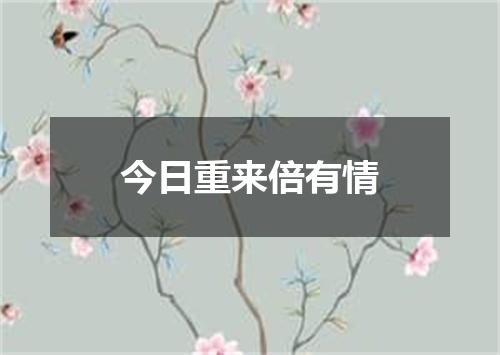 今日重来倍有情