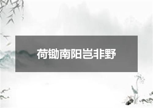 荷锄南阳岂非野