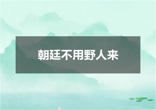 朝廷不用野人来