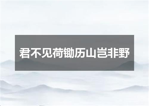 君不见荷锄历山岂非野