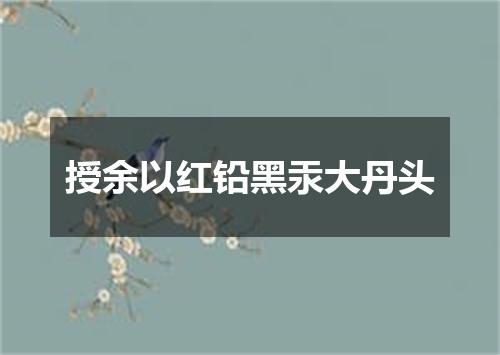 授余以红铅黑汞大丹头
