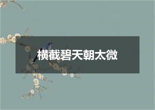 横截碧天朝太微