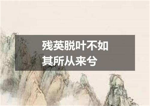 残英脱叶不如其所从来兮