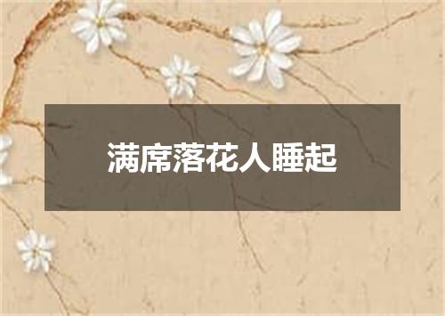 满席落花人睡起