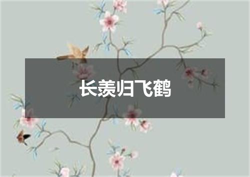 长羡归飞鹤