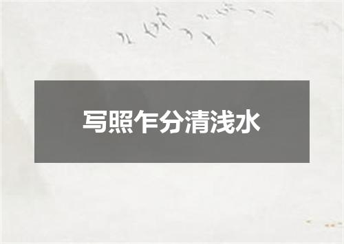写照乍分清浅水
