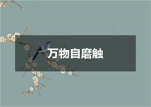 万物自磨触