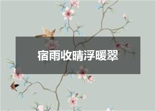 宿雨收晴浮暖翠