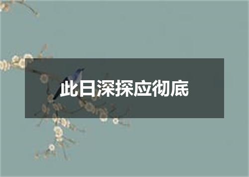 此日深探应彻底
