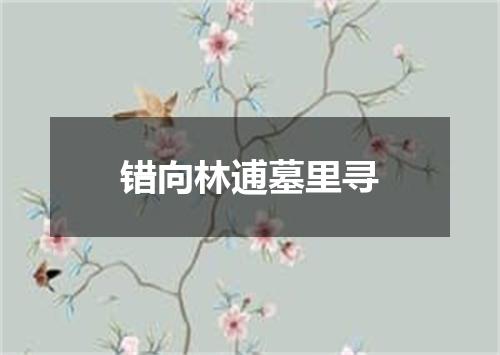 错向林逋墓里寻