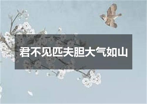 君不见匹夫胆大气如山