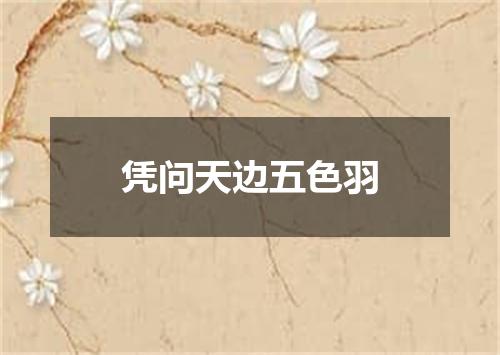 凭问天边五色羽