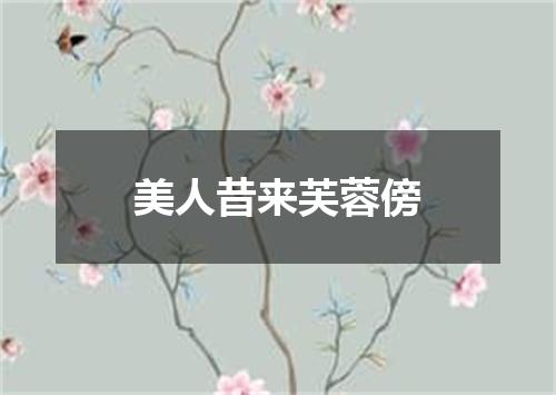 美人昔来芙蓉傍