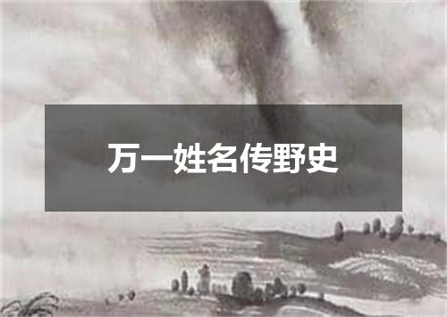 万一姓名传野史