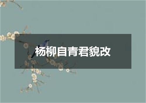 杨柳自青君貌改