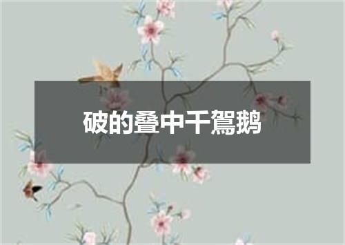 破的叠中千鴐鹅