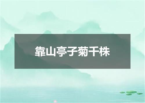 靠山亭子菊千株
