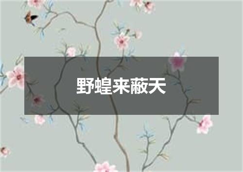 野蝗来蔽天