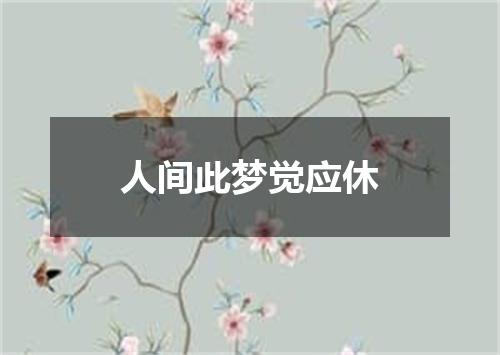人间此梦觉应休