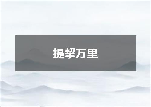提挈万里