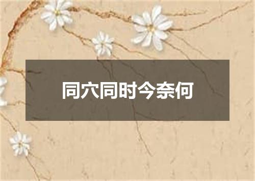 同穴同时今奈何