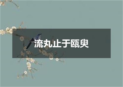 流丸止于瓯臾