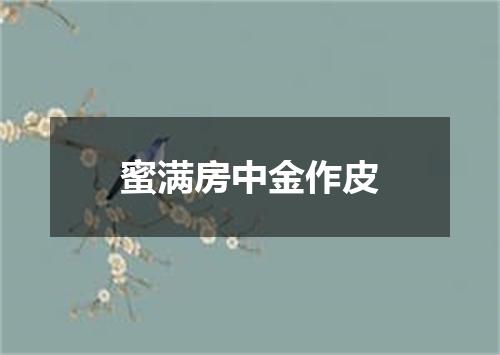 蜜满房中金作皮