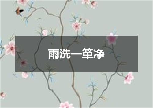 雨洗一箪净