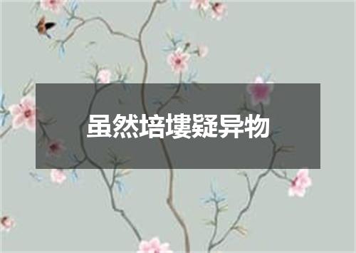 虽然培塿疑异物