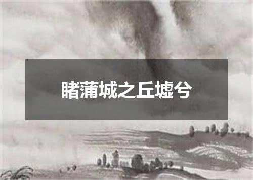 睹蒲城之丘墟兮