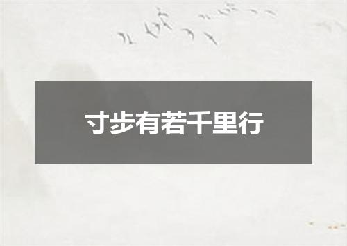 寸步有若千里行