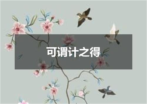 可谓计之得