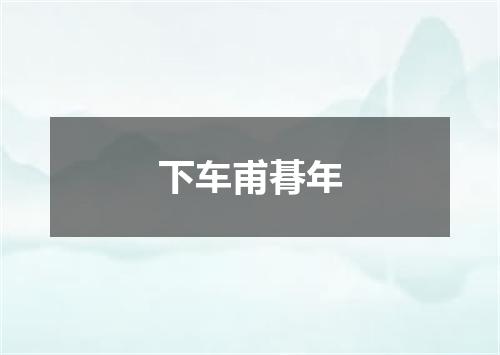 下车甫朞年