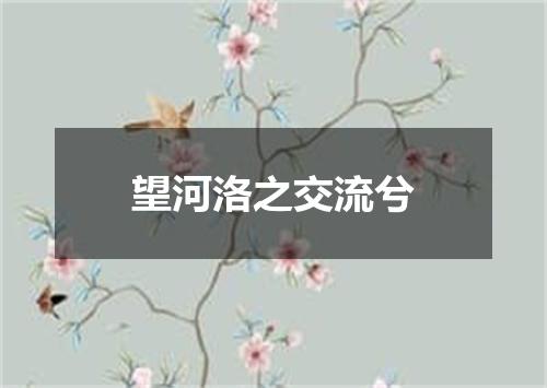 望河洛之交流兮