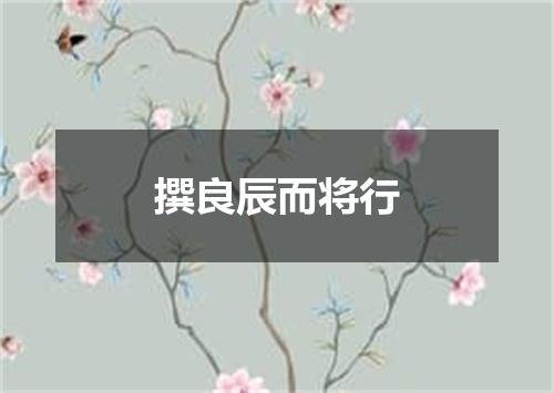 撰良辰而将行