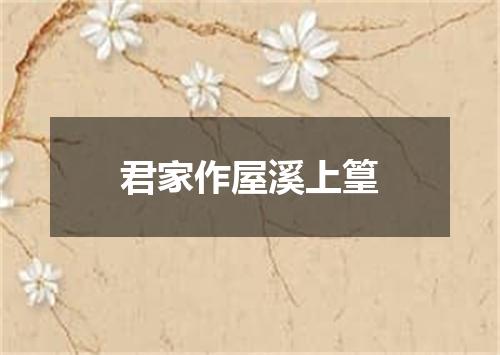 君家作屋溪上篁