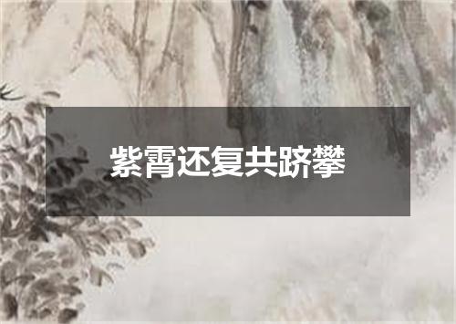 紫霄还复共跻攀