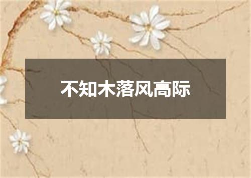 不知木落风高际