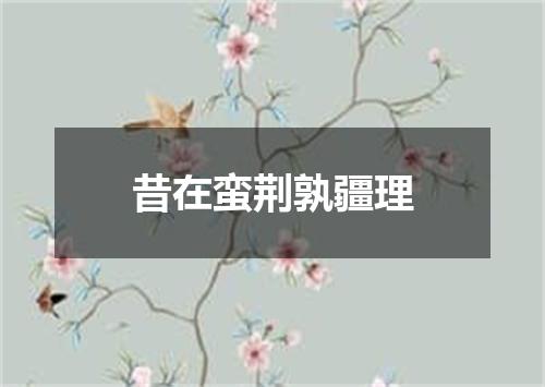 昔在蛮荆孰疆理