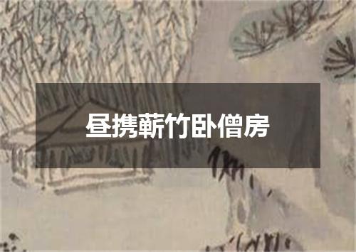 昼携蕲竹卧僧房