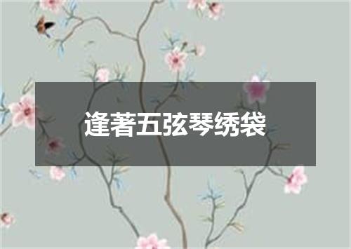 逢著五弦琴绣袋