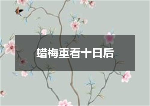 蜡梅重看十日后