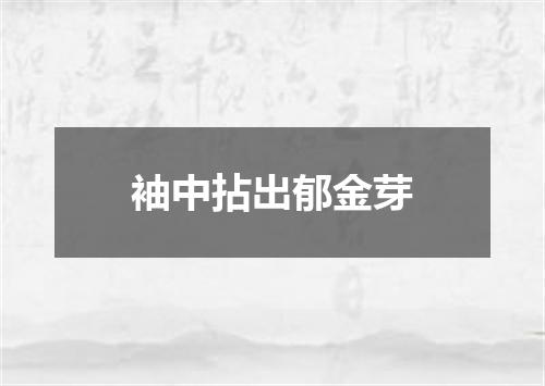 袖中拈出郁金芽