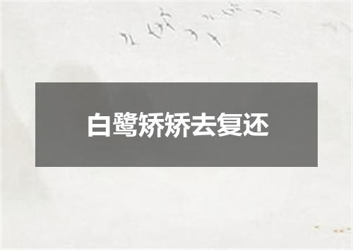 白鹭矫矫去复还