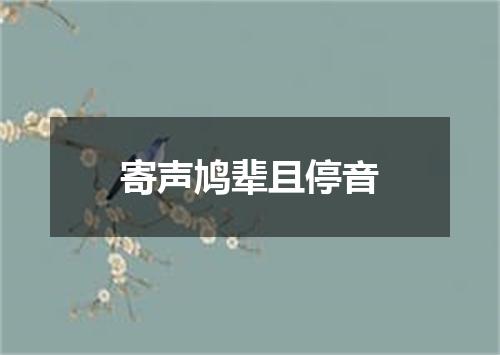 寄声鸠辈且停音