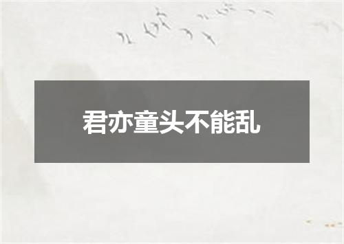 君亦童头不能乱
