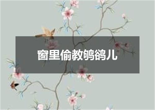 窗里偷教鸲鹆儿