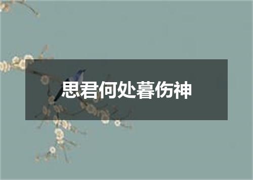 思君何处暮伤神
